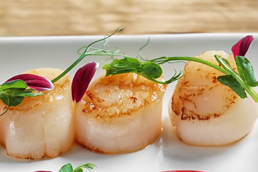 sea scallops