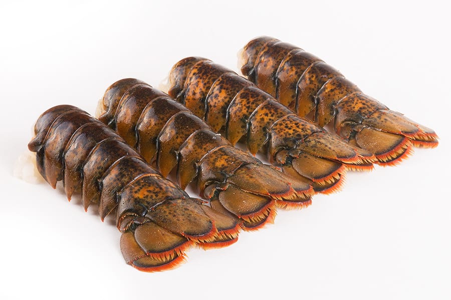 Maine Lobster Tails